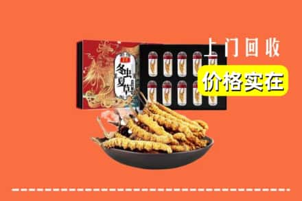 宁德屏南县回收冬虫夏草