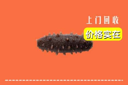 宁德屏南县回收海参